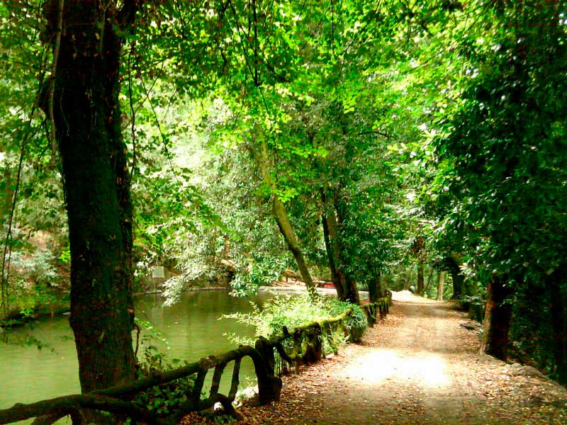 Braga Natural